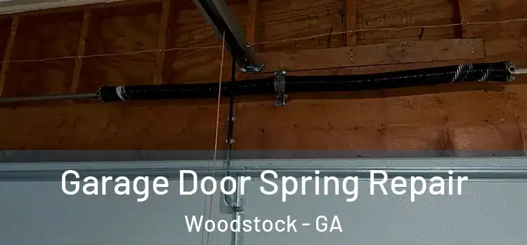  Garage Door Spring Repair Woodstock - GA