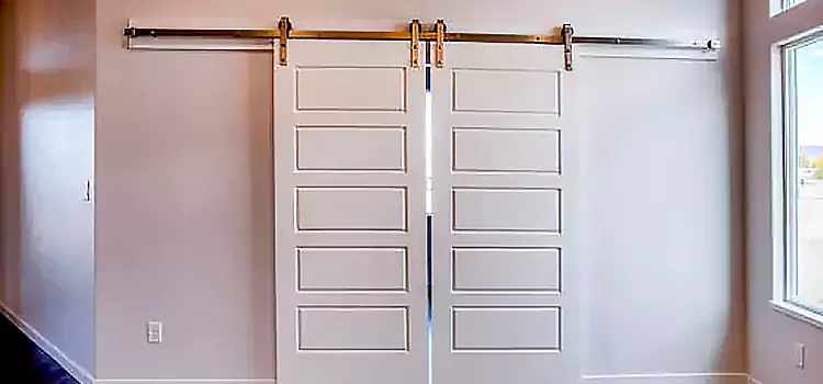 Glass Barn Door with Installation Hardware Kit Woodstock
