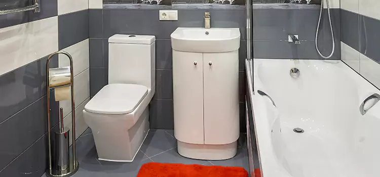 Hansgrohe Shaving Mirror Woodstock